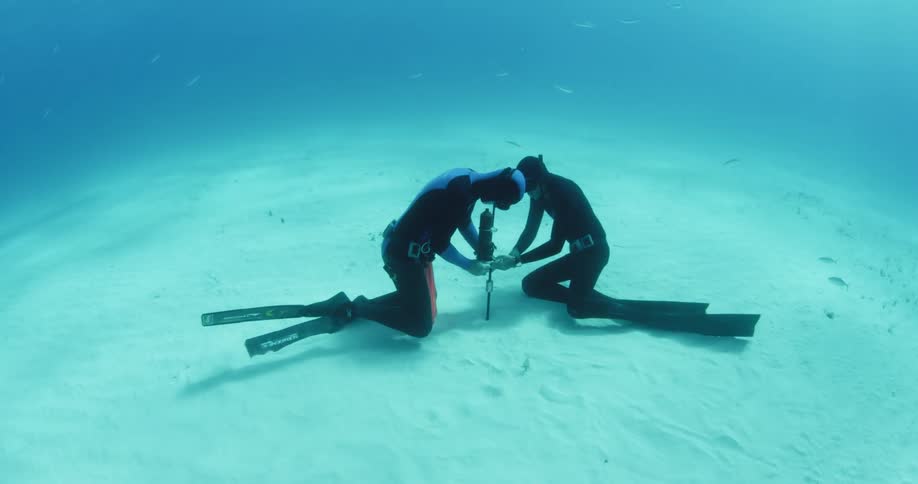 Divers swim near the sandy ocean floor