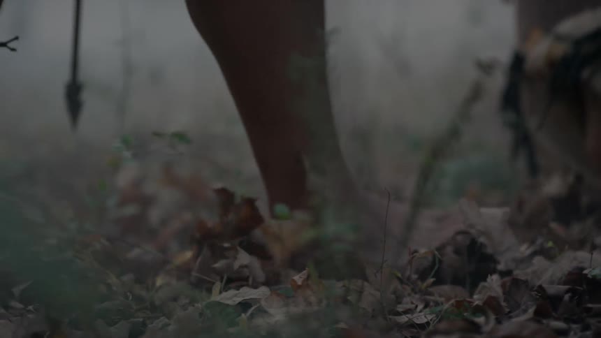 People walk through dead leaves