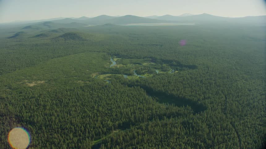 Aerial view of a forest landscape is displayed