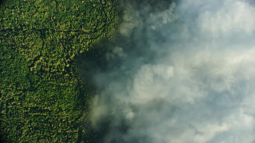 Aerial view of a jungle rainforest with fog near the coast as the camera rapidly rotates aroun
