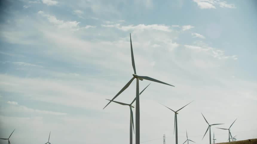 Rotating wind turbines in a rural field in the daytime during the late Summer as the camera tilts down on many rotating wind turbines