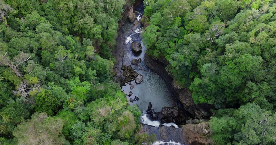 An aerial view of a river running through a forest