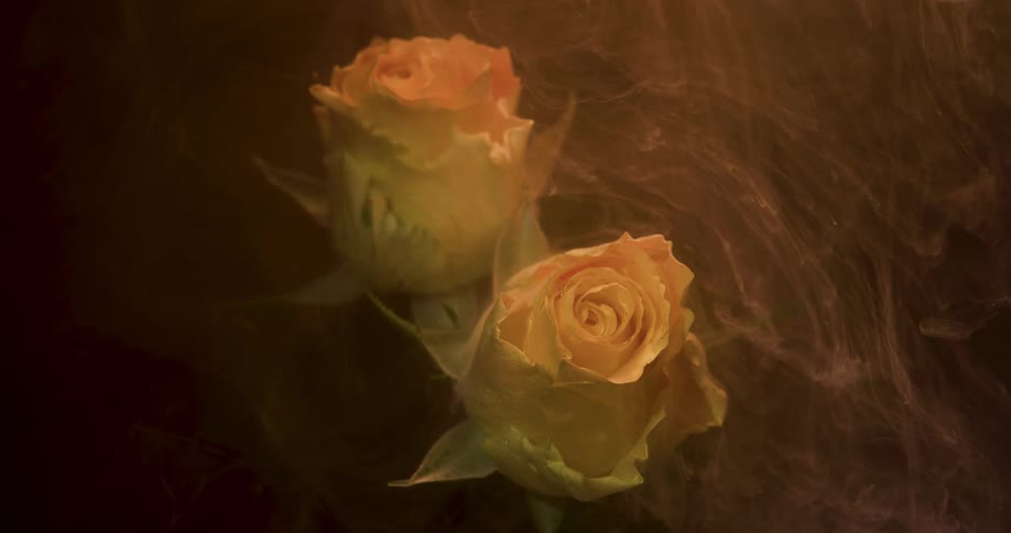 Soft liquid ink flowing down the petals of a yellow submerged rose