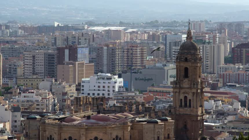 A bird flies in front of the tower of a church on the city at daytime