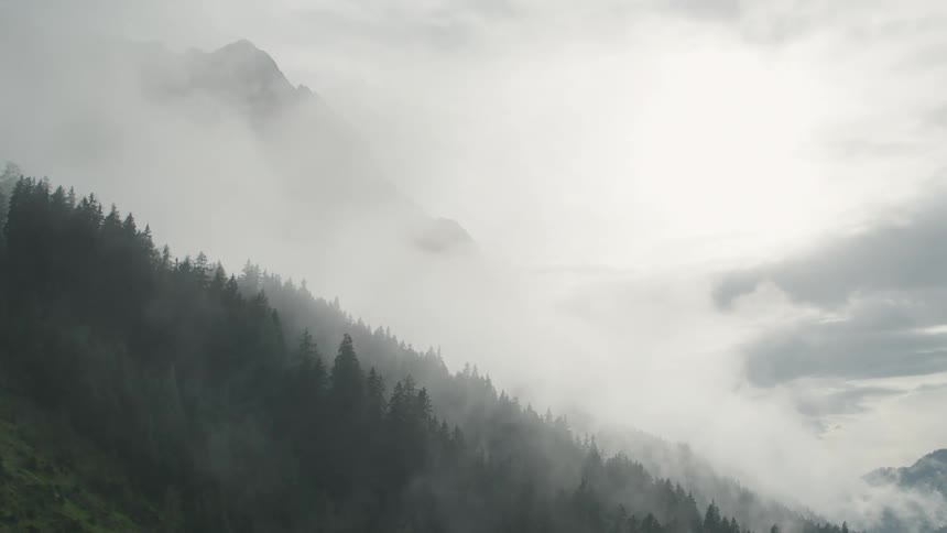 Aerial view of a white layer of clouds covering the pine tree forest on the slopes of a mountain