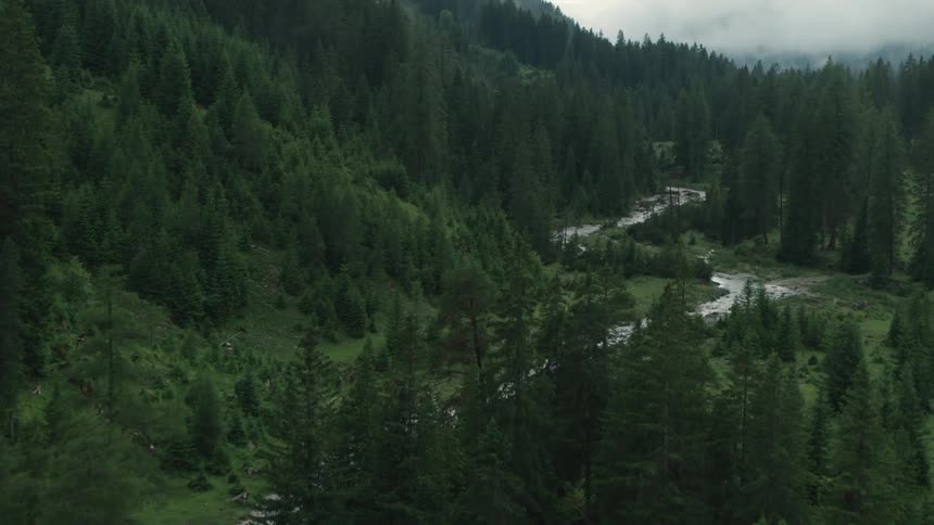 A narrow winding river along a forested mountain slope during the day