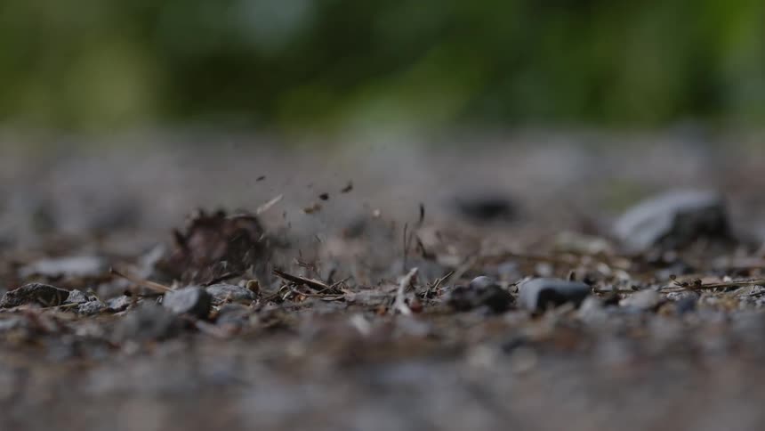 A womans shoe as she runs outside