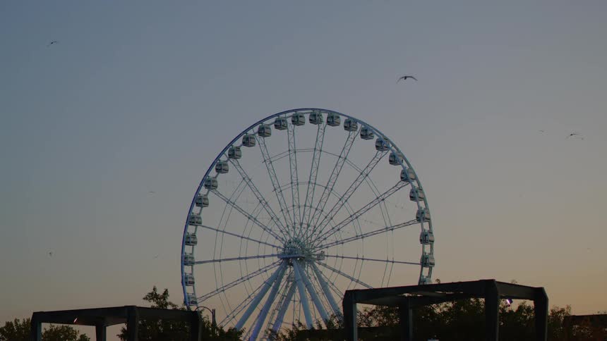 Birds are flying around the top of a ferris wheel