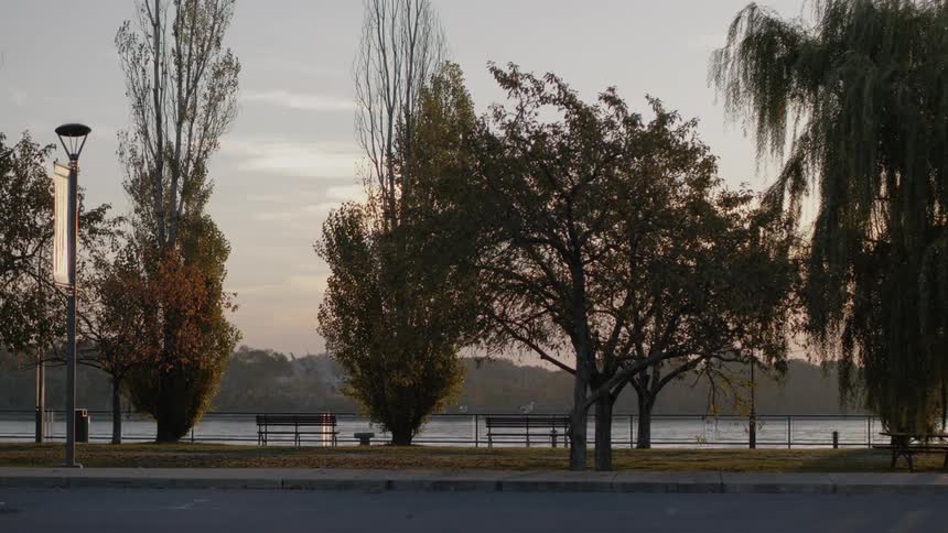 Trees are near park benches overlooking the river under a cloudy sky