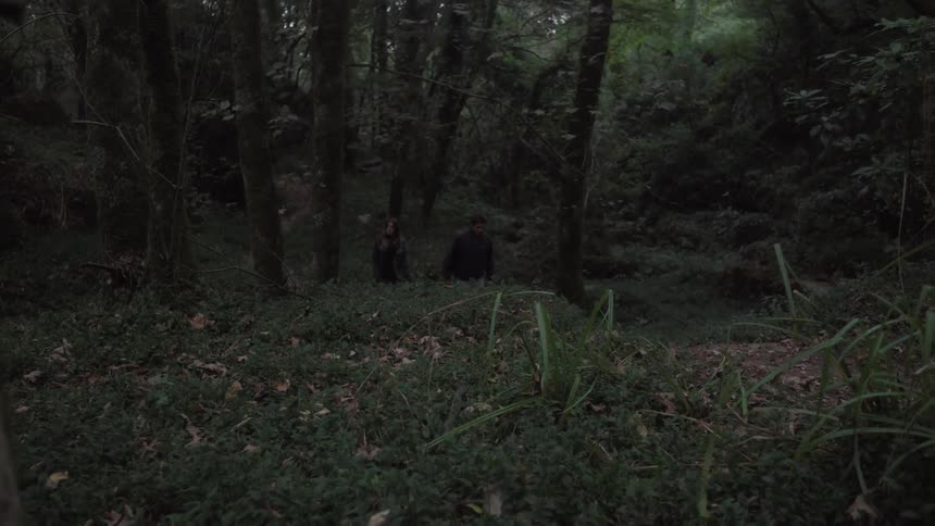 Two people walk through a forest