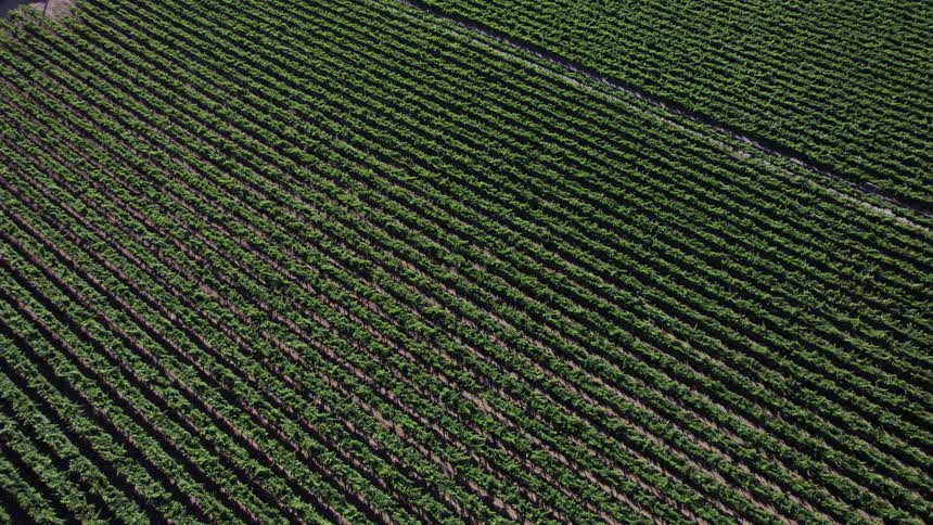 Aerial view of a farm field is displayed in spring