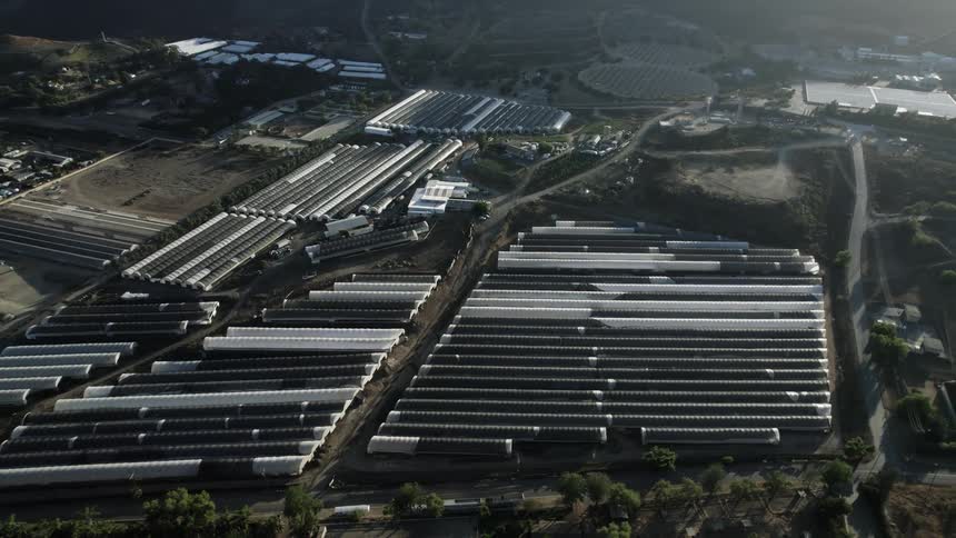 Rows of greenhouse covered crops