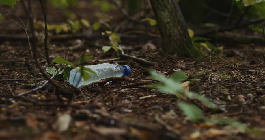 A discarded water bottle is among plants and leaves scattered across the ground in the woods