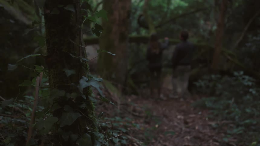 Couple standing in a dark forest