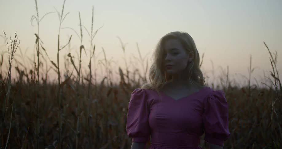 A blond woman in a pink dress stands up in a corn field and turns and walks away
