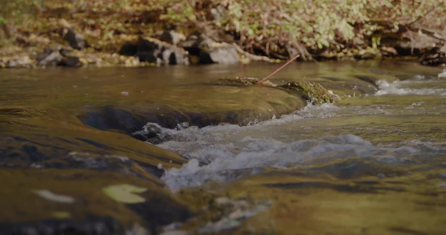 Water flows over rocks in a river