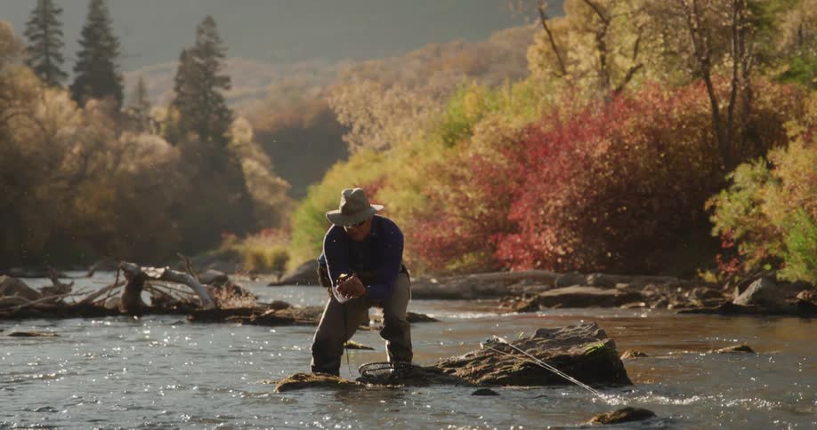 A man fishing stands in a river and picks a fish up out of his net