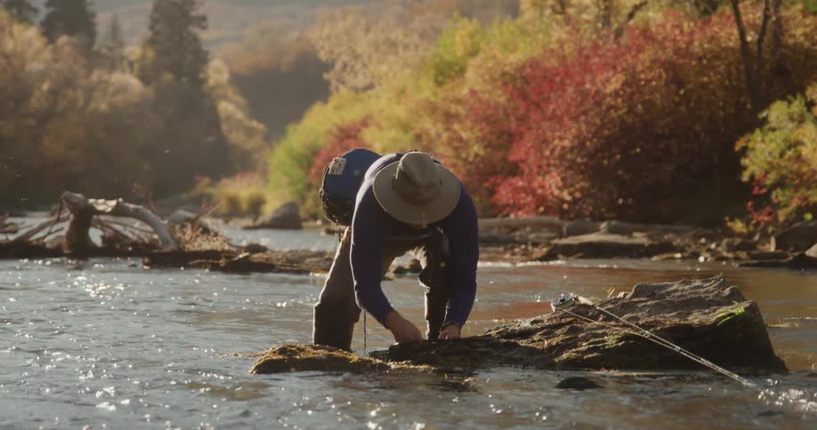 A man lifts a fish from the net
