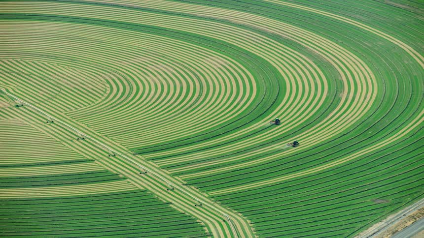 Two farming combines harvest corn in a circular agricultural field in the heartland USA