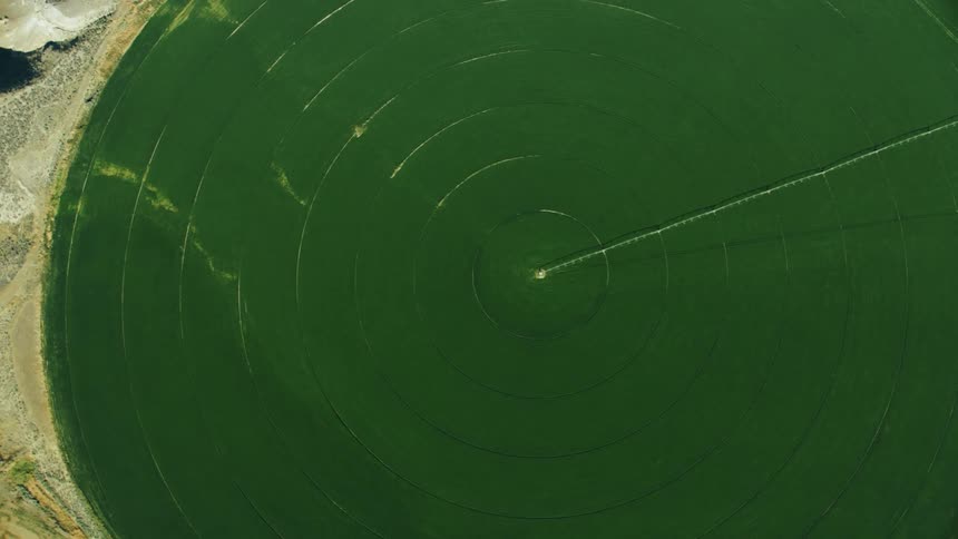 A massive round  field of corn as seen from the view of a high speed airplane