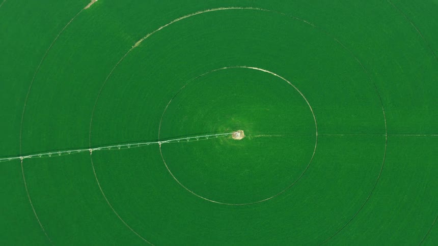 An overhead aerial view of a large agricultural field reveals is circular irrigation pattern that communicates the immensity and scale of production