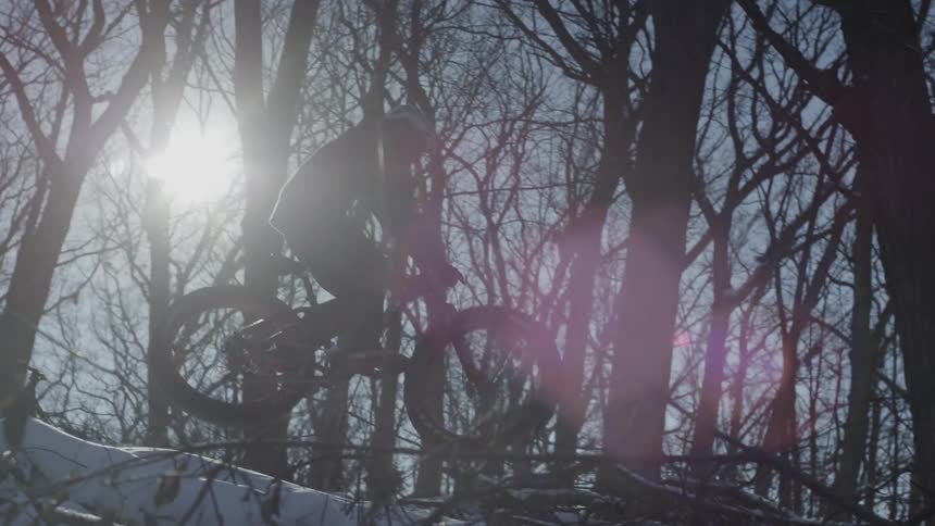A person is riding a bike through a forest during winter