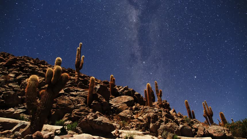 Time lapse of a starry night sky rotating over the cactus growing in the mountains
