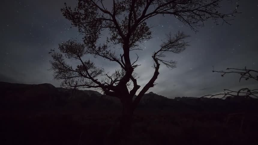 The moon lit sky over trees and the ground