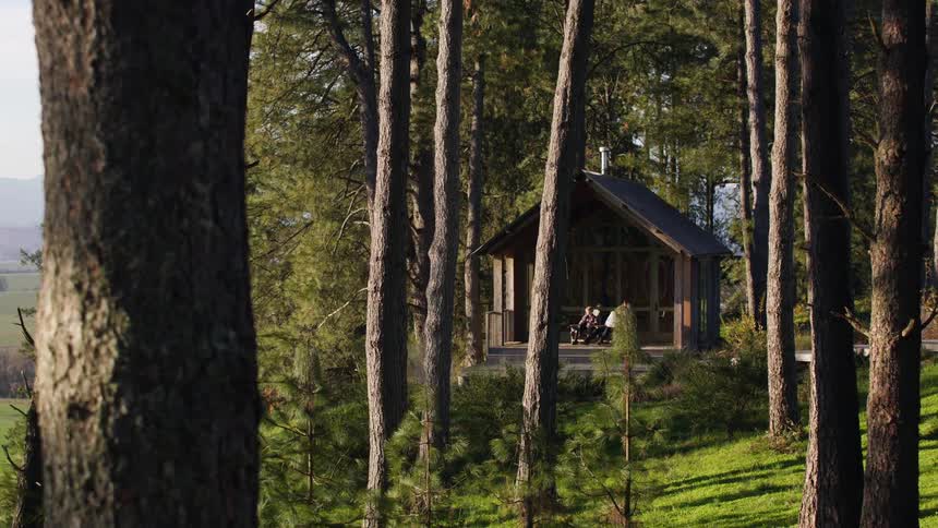 People sit on the porch of a small cabin in the woods