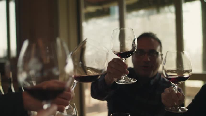 A group of friends raise their wine glasses and toast in a restaurant