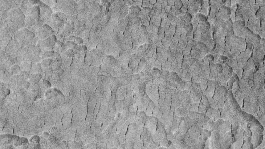 Cracks form in parched soil