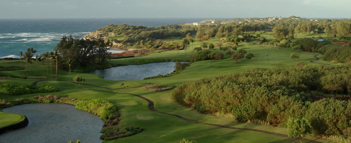 Aerial footage shows a lovely grassy coastal park with numerous groves of trees