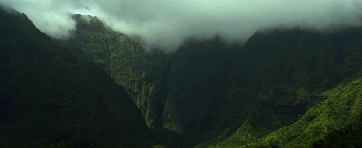 A bird flying over trees and a mountain