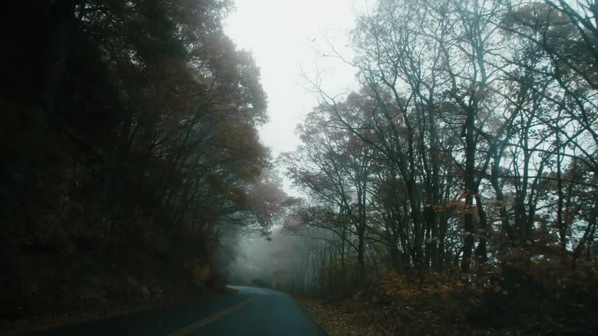 A winding road through a wooded area