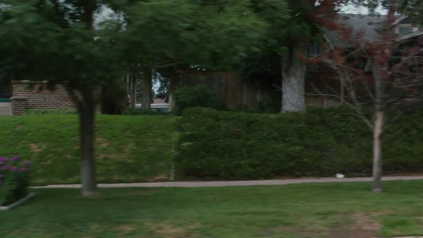 A row of houses in a neighborhood on a summer day