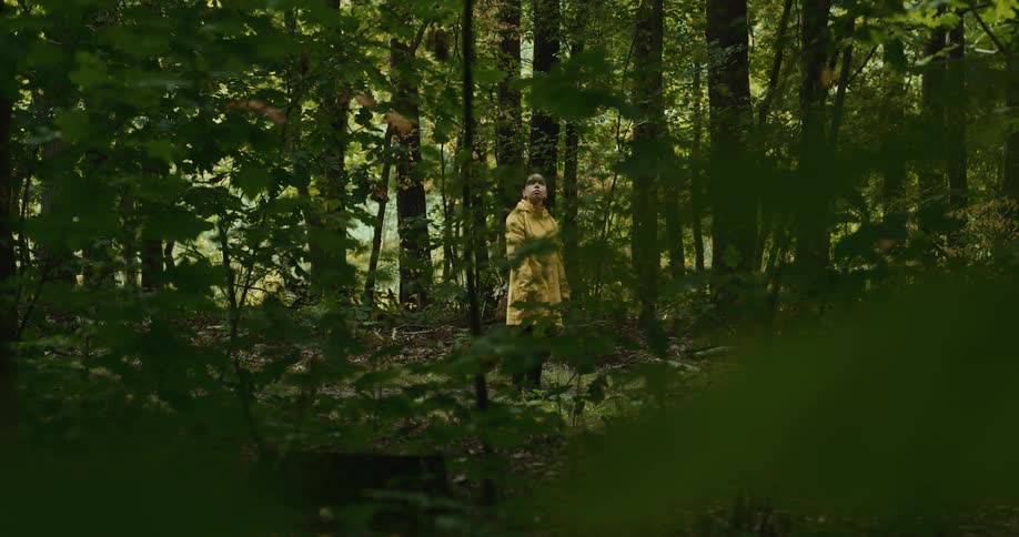 A woman in a yellow rain jacket walking and looking around a forest