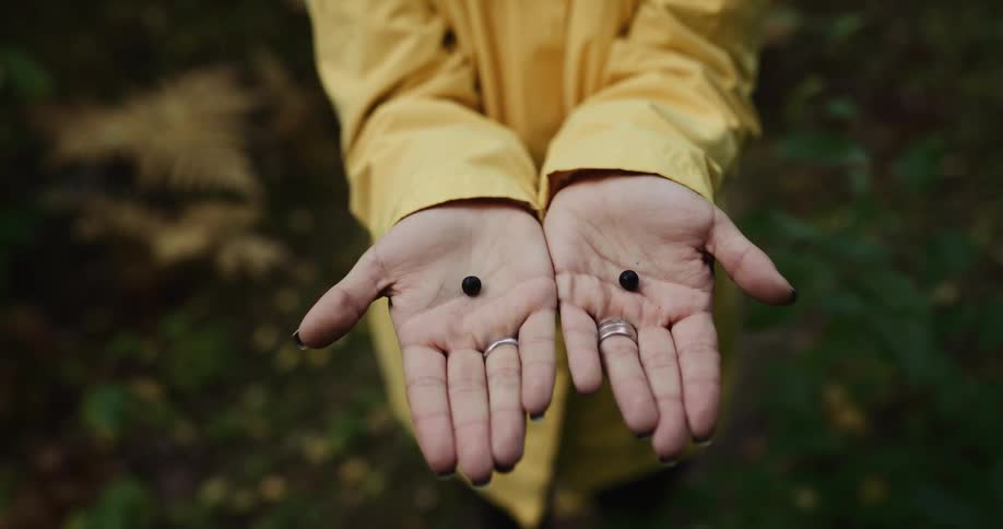 A woman is standing in a forest and holding berries