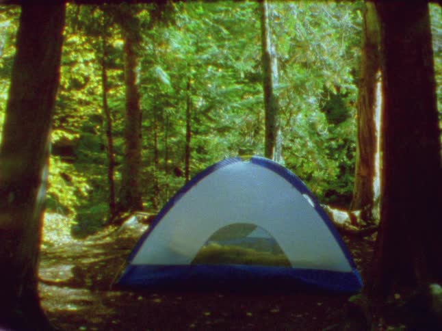 A blue and white tent surrounded by forest trees on a summer day