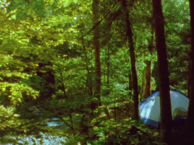 A tent is set up in a campsite in the forest next to a river