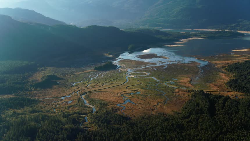 An aerial view of a river fans flowing from a lake surrounded by forests in the afternoon