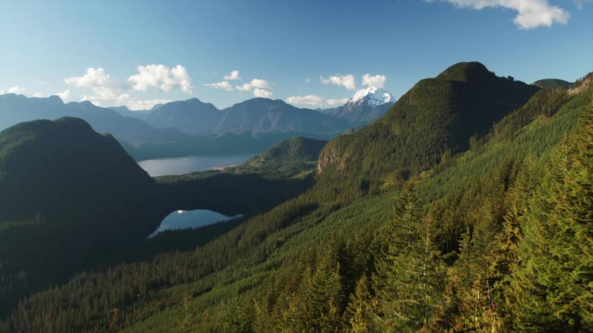 Distant lakes and tall mountains are revealed behind a thick forest on a slope