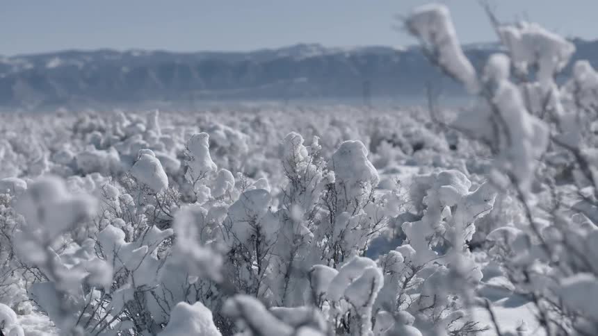 A snow covered field