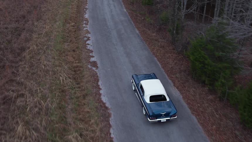 A car drives down a tree lined street