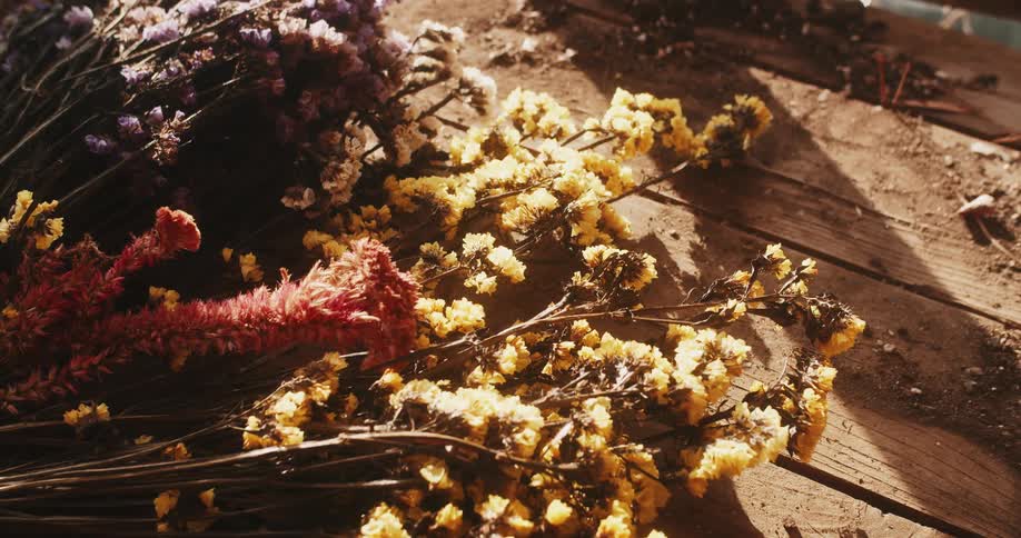Dried flowers waiting to be arranged into a bouquet at the flower shop