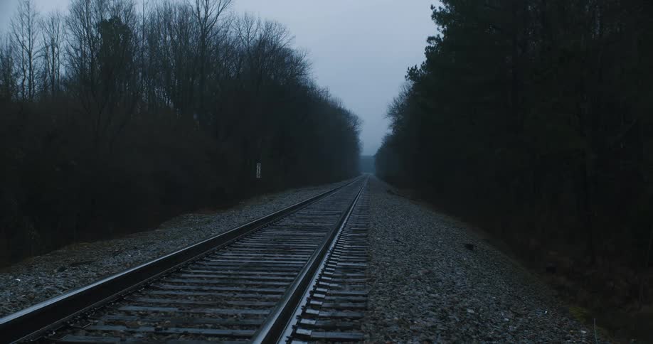 Train tracks through the cloudy woods