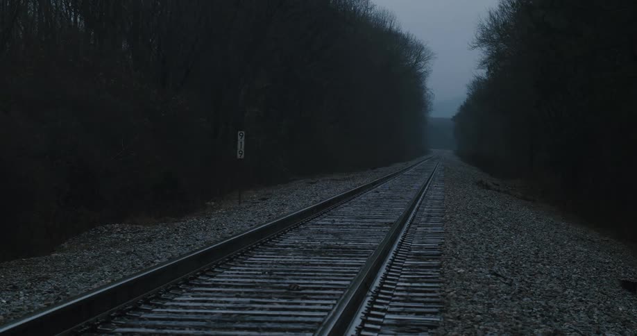 Train tracks through the woods