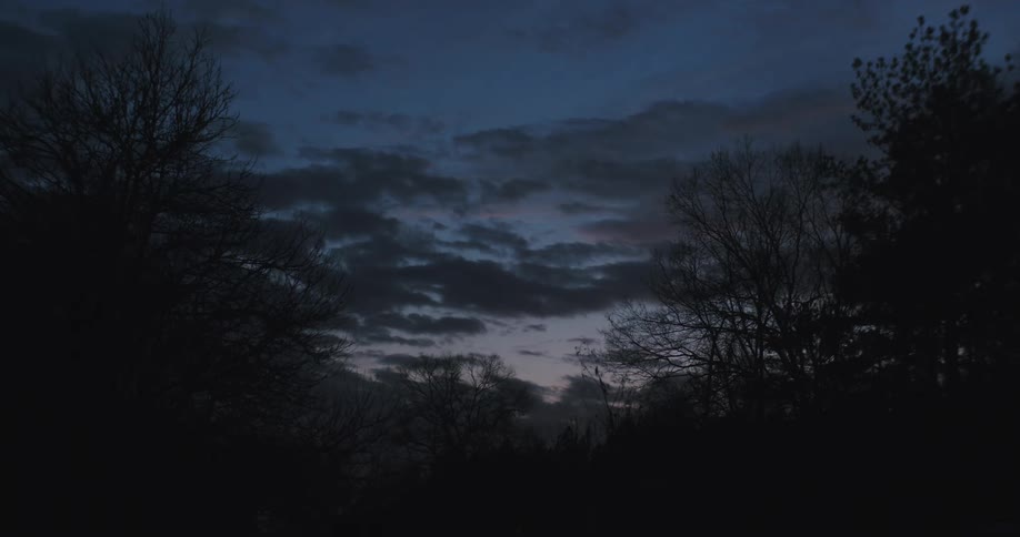Winter trees and a dark sky at sunset
