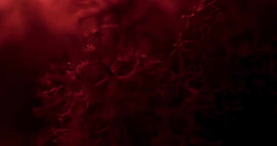 Red foliage outside on the ground