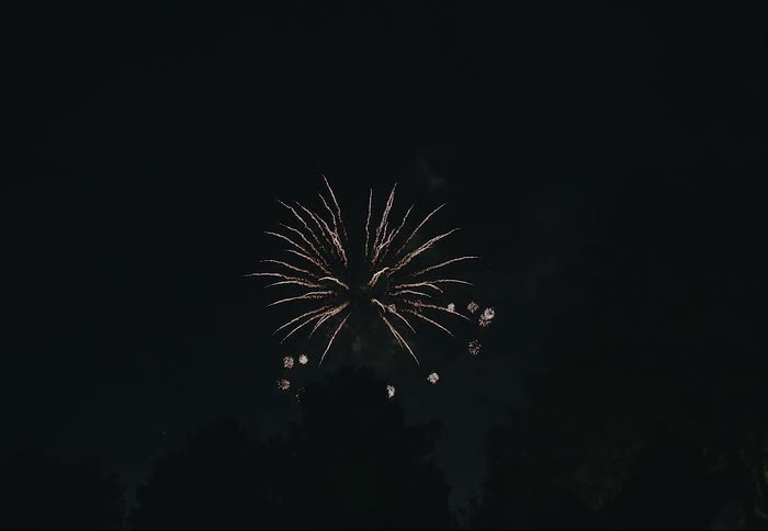 Firework show exploding over the tree tops in the night sky