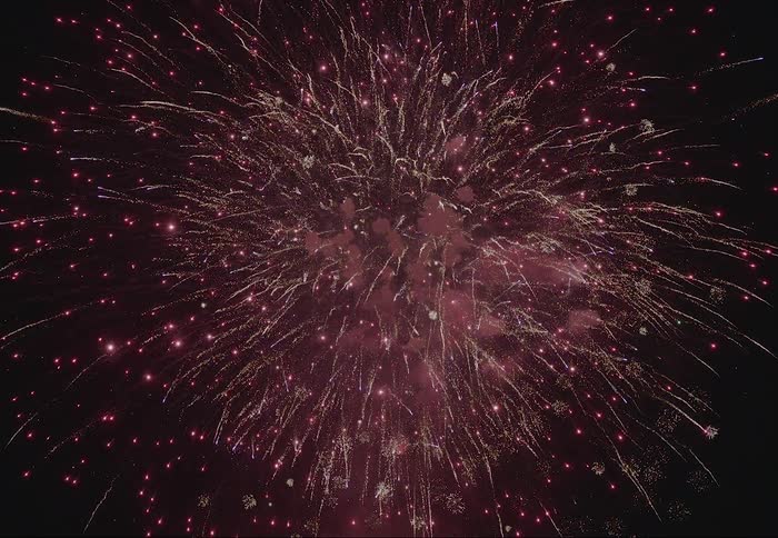 A large colorful explosion of fireworks